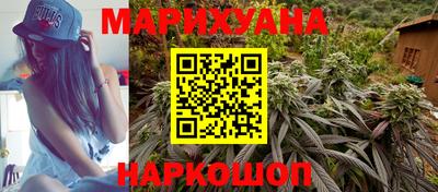 шишки Кингисепп