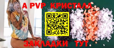 шишки Кингисепп